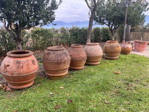 Bellissimi Orci toscani in terracotta da esterno originali del XIXsec. di varie forme e misure.