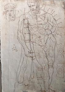 Studio per scultura di Ercole sec. XVll