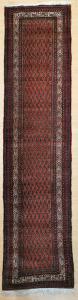 Saraband Antiguo - P/1378